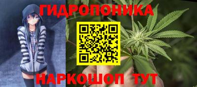 СК Донецк